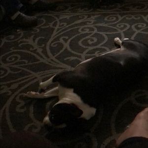 Meet your Posher, Angie